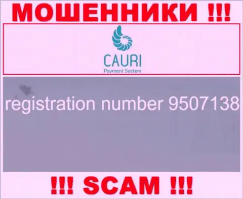 Регистрационный номер, принадлежащий неправомерно действующей конторе Каури Ком - 9507138