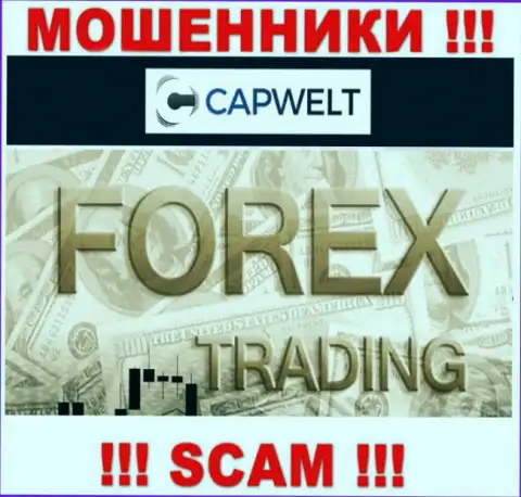Форекс - это направление деятельности противозаконно действующей компании CapWelt