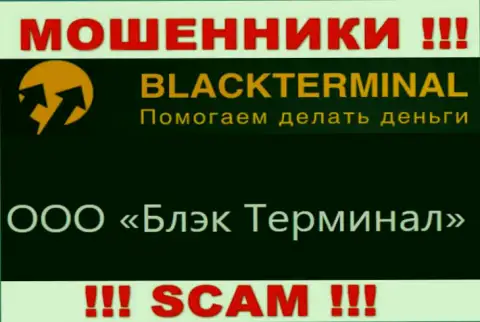 На официальном сайте BlackTerminal сообщается, что юридическое лицо конторы - ООО Блэк Терминал
