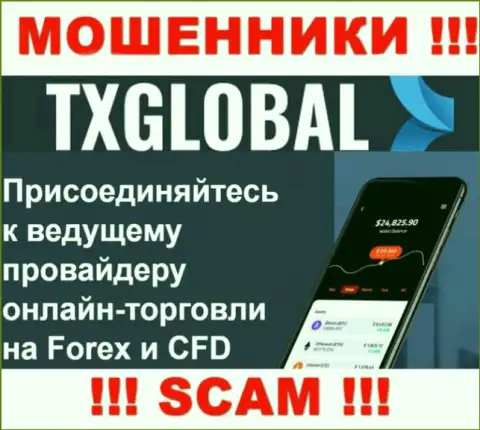 В сети internet промышляют мошенники TXGlobal Com, сфера деятельности которых - Форекс