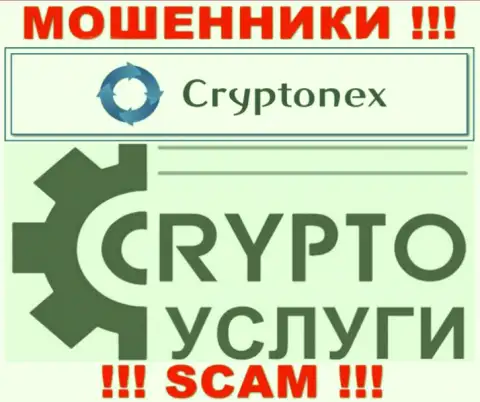 Работая совместно с CryptoNex, область деятельности которых Криптовалютные услуги, рискуете остаться без денежных средств
