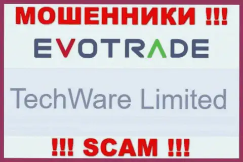 Юр. лицом EvoTrade является - TechWare Limited