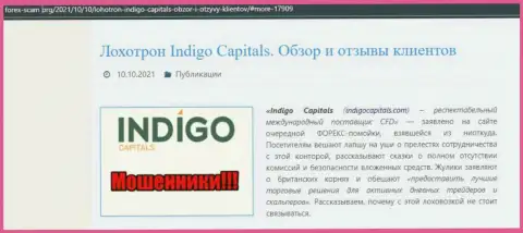 Обзор противозаконных деяний Indigo Capitals, реальные случаи разводняка