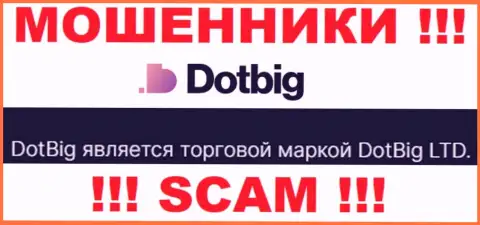 ДотБиг Ком - юр. лицо обманщиков компания DotBig LTD