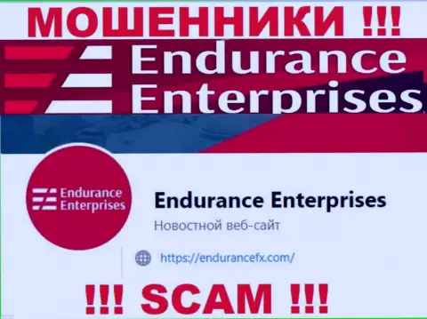 Пообщаться с интернет мошенниками из конторы Endurance FX Вы можете, если напишите письмо им на адрес электронной почты