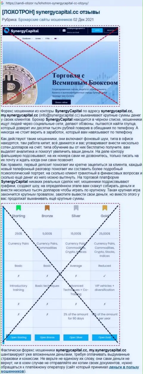 Обзор Synergy Capital с разбором признаков незаконных деяний