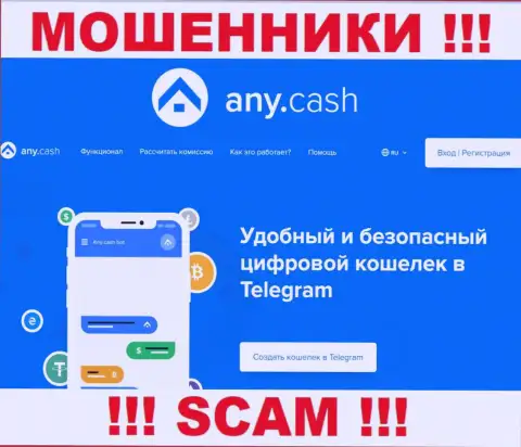 Работать совместно с Any Cash очень опасно, поскольку их вид деятельности Виртуальный кошелек - это разводняк